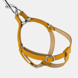 สายจูงสุนัขทำด้วยมือทำจากหนังพร้อมอุปกรณ์เสริมทองเหลืองทองแท็กสุนัขแบบออกแบบได้ตามต้องการ Wds-0031 - Product Image 3