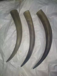 Cuerno vikingo personalizado Cuerno con acabado pulido Auténtico hecho a mano disponible para la venta por artesanía creciente - Product Image 3