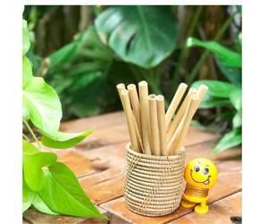 หลอดไม้ไผ่ธรรมชาติเป็นมิตรกับสิ่งแวดล้อมผลิตในเวียดนาม/เดลต้าเวียดนาม - Product Image 1