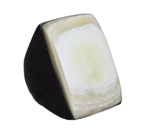 Anillo de sello grueso de cuerno de búfalo ecológico, moderno, hecho a mano, para boda, coleccionable, joyería de moda, superventas, exclusivo Saniya - Product Image 2