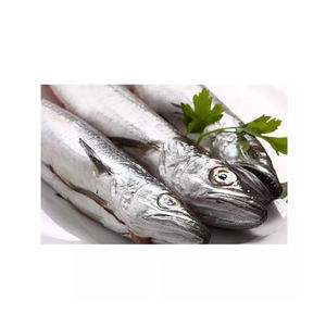 Caballa Fresca Entera envasada a Granel, Mariscos Congelados para Exportación - Product Image 6