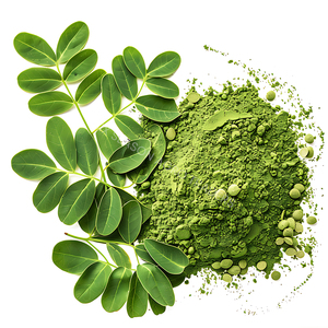Polvo de Moringa Natural Premium, Polvo de Hojas de Moringa de Bangladesh, Suplemento Herbal para la Salud, Exportación a Granel, Calidad de Exportación, Proveedor Directo al por Mayor - Product Image 1