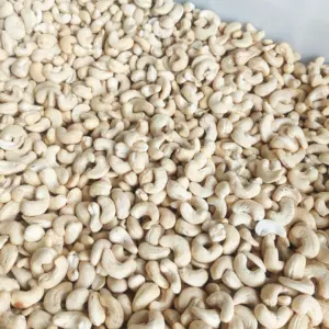 Hot Sale Cheap Rate Cashew Nuts Cashew Nuts W320 Kaju Cashews Customized Cutting Size