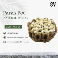 Potpourri Bunga Kering Organik Berkualitas Tinggi Grosir untuk DIY Wisuda, Halloween, Hari Ibu, Pernikahan, Natal, dan Lainnya