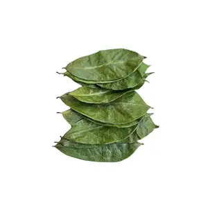 THE DELIGHTFUL FLAVORS OF TROPICAL TREASURE: SOURSOP TEA MADE FROM DRIED LEAVES ORGANIC NUTRIENT-RICH SKINNY BELLY TEA