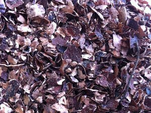 Coques de noix de cajou brutes de qualité supérieure en provenance du Vietnam avec des fibres propres et durables, idéales pour les producteurs d'aliments industriels à la recherche d'une alimentation fiable - Product Image 4