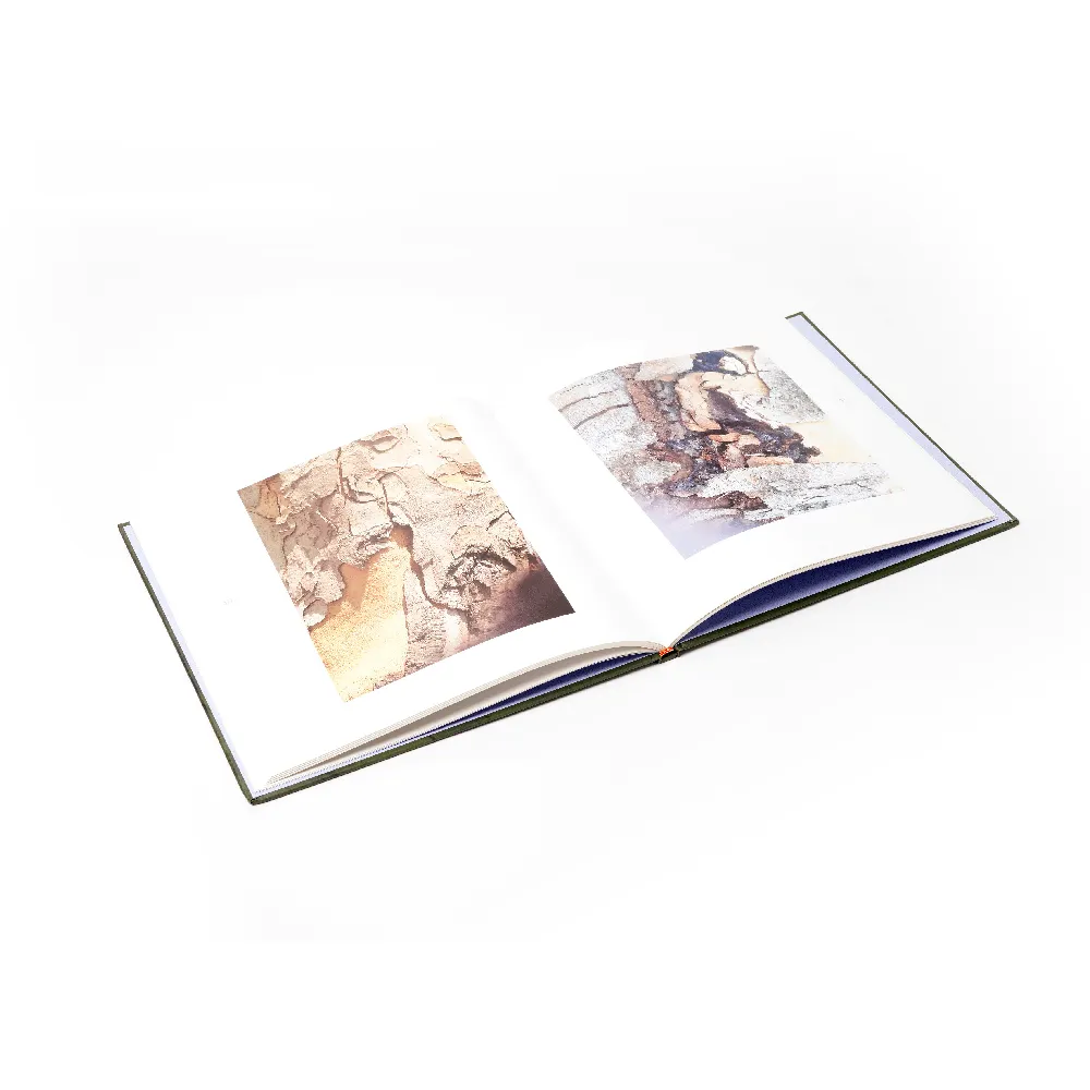 Fine Art Book Printing Used In Hardcover Gallery Painting Books