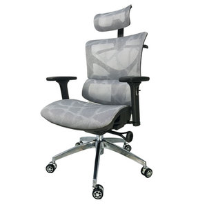เก้าอี้สำนักงาน HOGVP031 รุ่น Ergonomic Spirit Modern ดีไซน์ยกได้ ปรับพนักพิงศีรษะได้ โครงโลหะโครเมียม หุ้มหนัง PU อะลูมิเนียม เหมาะสำหรับใช้ในโรงเรียนและโรงพยาบาล - Product Image 2