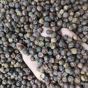 Poivre noir de culture naturelle 100% Matière première de qualité supérieure Prix d'usine sain Magasin dans un endroit frais et sec - Product Image 1