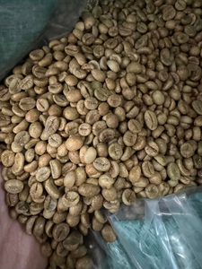 Meilleurs grains de café arabica et robusta torréfiés verts provenant des États-Unis - Product Image 4