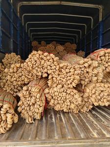 Vente en gros Corde jacinthe tressée-Cordes tressées écologiques en jacinthe d'eau cordes d'emballage vente en gros meilleur prix - Product Image 6