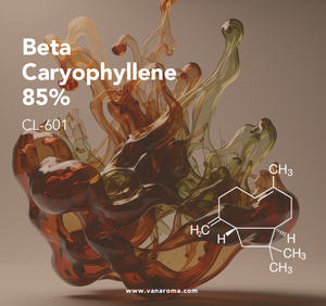 Beta Caryophyllene 85% Fragancia Natural Fresca (CL-601) Aroma de Vainilla - Product Image 1