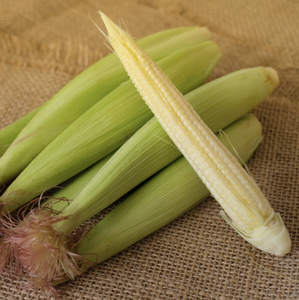 Maïs sucré congelé IQF de haute qualité et frais disponible au Vietnam - Product Image 6