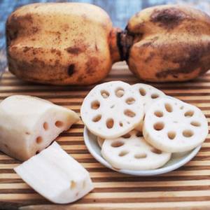 RAÍZ DE LOTO CONGELADA PREMIUM/BUENZA DE PLANTA ENTERA/LIMPIA Y PURA - Product Image 3