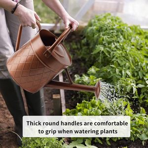 Élégance intemporelle L'arrosoir en métal pour votre jardin Arrosoir en métal robuste pour toutes les saisons - Product Image 5
