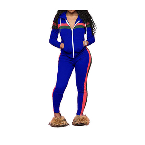 Survêtement pour femmes avec fermeture à glissière et manches longues en polyester, sweat à capuche et pantalon, ensemble de jogging 2 pièces pour femmes de Turkiye - Product Image 1