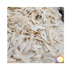 Hueso de sepia seco de alta calidad, para reptiles Natural hueso de sepia, precio barato, embalaje personalizado, sepia, Ossa, Sepia, Vietnam - Product Image 6