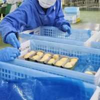 Heerlijke IQF diepvries hele Durian van Thaise boomgaarden, aan uw deur, merk Khey Taladthai, 14,2 kg. Geniet van de zoetheid van dit unieke fruit.
