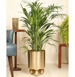 Macetas de metal modernas artísticas de diseño con soporte de suelo, elegante maceta de hierro redonda decorativa para jardín interior, guardería, sala de estar - Product Image 1