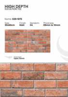 Carreaux muraux en céramique modernes antidérapants et résistants à l'usure 300x600mm pour façades commerciales, halls de centres commerciaux, salles de bain et villas