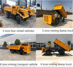 Camión Minero Usado, Pequeño, a Gasolina, Transmisión Manual, Emisión Euro 4, para Venta - Product Image 5