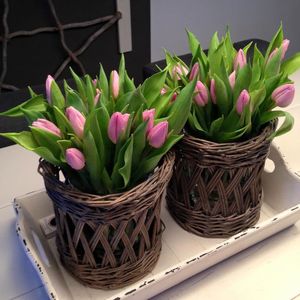 Maceta de mimbre tejida a mano al por mayor, cestas para macetas, decoración del hogar, cestas de mimbre, macetas para plantas de interior, Decoración de mesa - Product Image 3