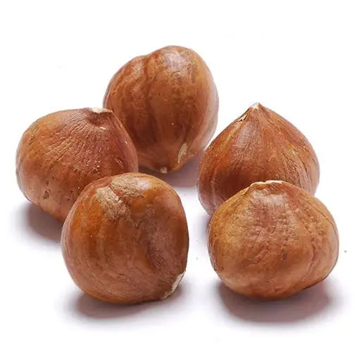 Hazelnuts पूरे कार्बनिक Hazel पागल-Unroasted और अनसाल्टेड पाक के लिए एकदम सही/Hazelnuts गोले में जंगली पक्षियों के लिए और गिलहरी