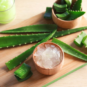 VIETNAM FACTORY | Gelée d'Aloe Vera | Exportation en vrac | Haute qualité garantie - Product Image 5
