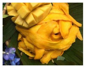 ผู้จัดจําหน่ายมะม่วงอบแห้งธรรมชาติ 100% ด้วยราคาที่ดีที่สุด / ส่งออกมะม่วงอบแห้งคุณภาพสูงจากเวียดนาม - Product Image 1