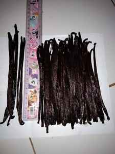 Vanila ตาฮิติหรือ Planifolia เกรด1/= ร้านอาหาร - Product Image 2