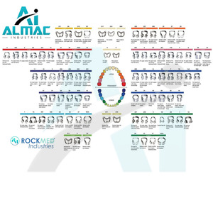 2025 disponible en todos los tamaños, abrazadera de presa de goma Dental Manual para tejido gingival y molares inferiores, juego de retractores Brinker ALMAC - Product Image 1