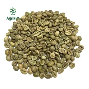 Certificats complets ROBUSTA grains de café vert avec le meilleur prix et de haute qualité du fournisseur vietnamien fiable + 84363565928