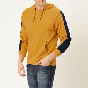 Sweat-shirts à capuche unisexes de haute qualité pour hommes, surdimensionnés, logo personnalisé brodé, imperméables, écologiques, lourds, 100% coton - Product Image 4