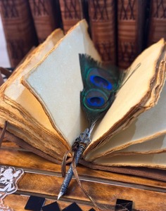 Colección Winter Moonsong FrostMoth y Moon Elegance con luminiscencia Ártica con costura de sillín y encuadernación de costura - Product Image 2