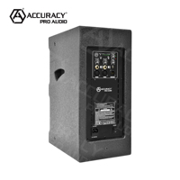 Précision Pro Audio WQ10D6 Haut-parleur 10 pouces 2 voies haute puissance avec modes DSP avancés et véritable stéréo sans fil