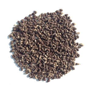 Semillas de algodón para alimentación animal - Product Image 6