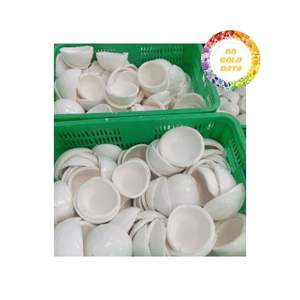 Carne de Coco Congelada de Alta Calidad, Piezas Blancas Puras para Exportación, Suministro a Granel para Fábricas de Alimentos y Fabricación de Postres - Product Image 5