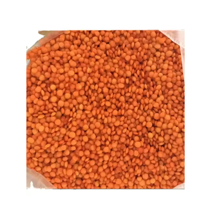 Lentejas rojas Masoor Dal de fábrica, suministro a granel, calidad premium para exportación - Product Image 1