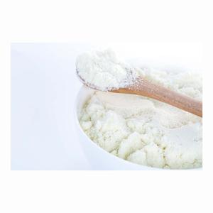 Leche en polvo condensada blanca con tamaño de partícula fina, alta solubilidad y rico sabor, empaquetada para exportación de compradores de procesamiento de alimentos a granel - Product Image 4