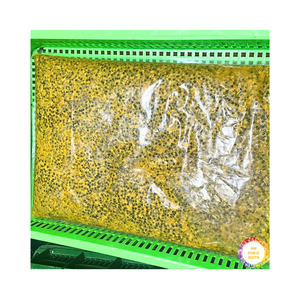 Calidad superior Vietnam 100% Sabor natural con IQF Puré de miel de fruta de la Pasión congelada Graines De La Passion Secher - Product Image 3