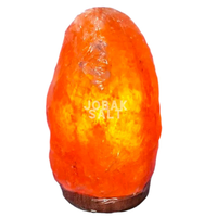 Lampe en sel rose de l'Himalaya sculptée à la main JOBAK - Écologique, Feng Shui, 100% cristal pur, qualité supérieure, base en bois personnalisée