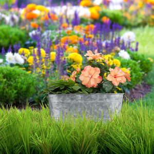 Trending <b>Black</b> Color <b>Metal</b> Flower <b>Planters</b> with Handle Oval Shape for Home Living Area Garden Decor Flower <b>Planter</b> - Product Image 6