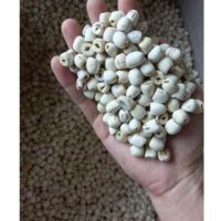 Graines de lotus blanches séchées saines d'origine vietnamienne, grignotines grillées prêtes à consommer, produits agricoles +84 783 612 648 Jasmine