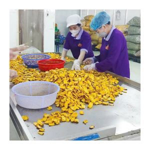 ขนมขนุนแห้งกรอบและหวานจากเวียดนามเขตร้อน - Product Image 1