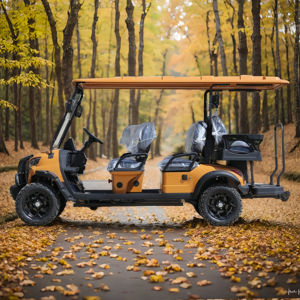 Carro de Golf Usado en Excelentes Condiciones - Product Image 3