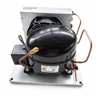 Nouvelles unités de condensation à compresseur frigorifique économe en énergie avec commande automatique 110V 1/3HP R410A pour les applications domestiques, commerciales et marines
