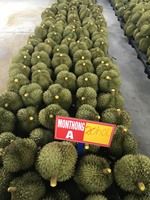 Monthong/Ri6 Premium Bevroren/Verse Durian Pulp/Heel/Vlees Tropisch Fruit Exporteren Kwaliteit Uit Vietnam Tegen Goedkope Prijs // Anna Do