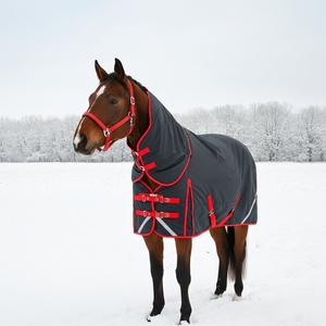 Tapis de cheval spécial halloween Tapis de participation Tapis d'entrepôt pour équidés Conception personnalisée Couverture de cou imperméable avec sangle réglable - Product Image 1