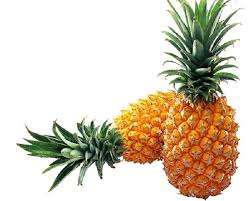 Rodajas de Piña Congeladas del Delta del Vientam, Vietnam |   Directo de Fábrica - Product Image 6