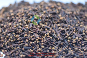 Clavos de olor orgánicos naturales 100% al por mayor, directamente de Tanzania, productos agrícolas de la más alta calidad - Product Image 6